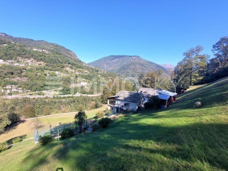 Panorama