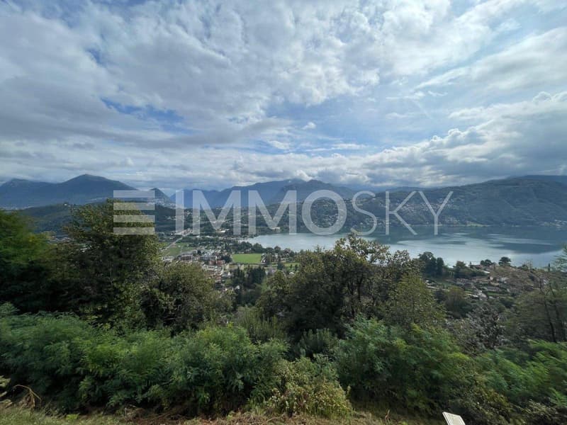 Ampia zona boschiva di proprietà