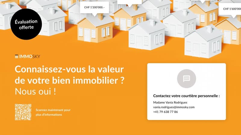Flyer VR
