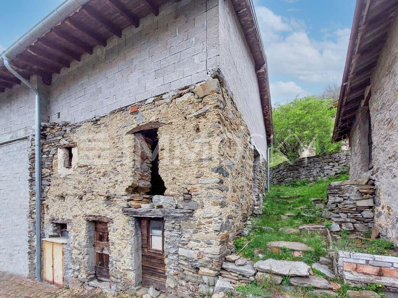 Storico nella natura