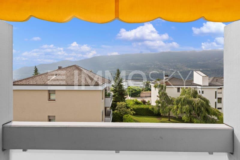 Vue sur les montagnes