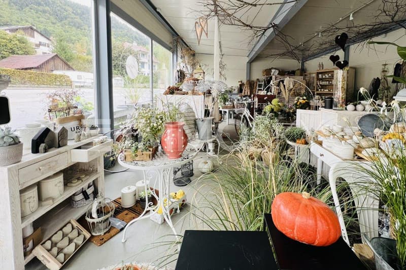 Lumineux local commercial