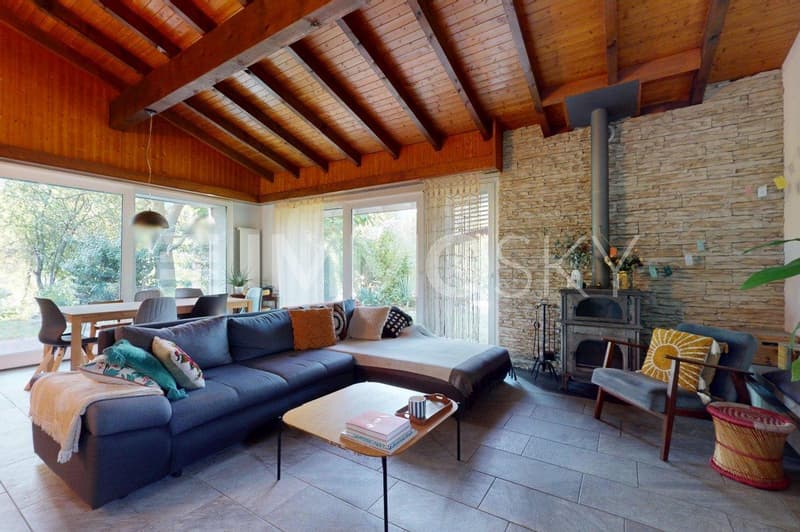 Logement principal - Spacieux salon