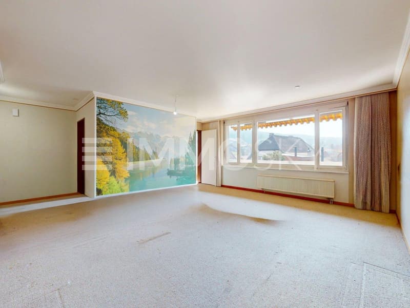 Grand séjour lumineux