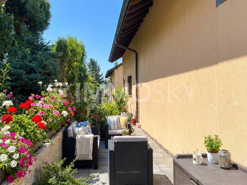 Sitzplatz oberhalb mit viel Schatten im Sommer