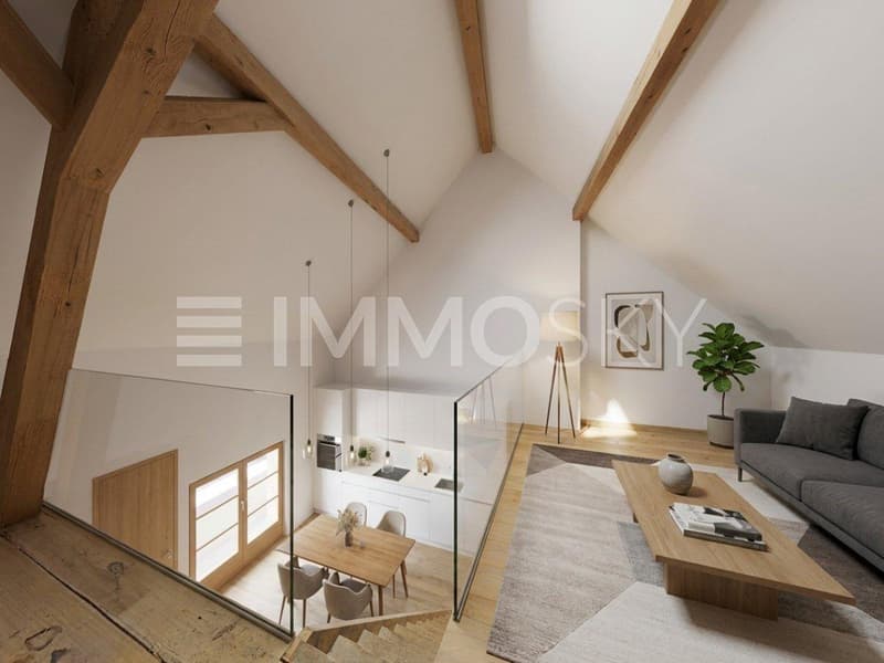 Grand espace aménageable (Projection)