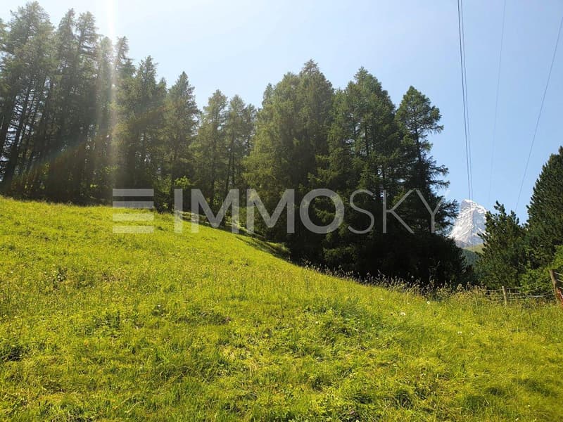 Blick Richtung Matterhorn
