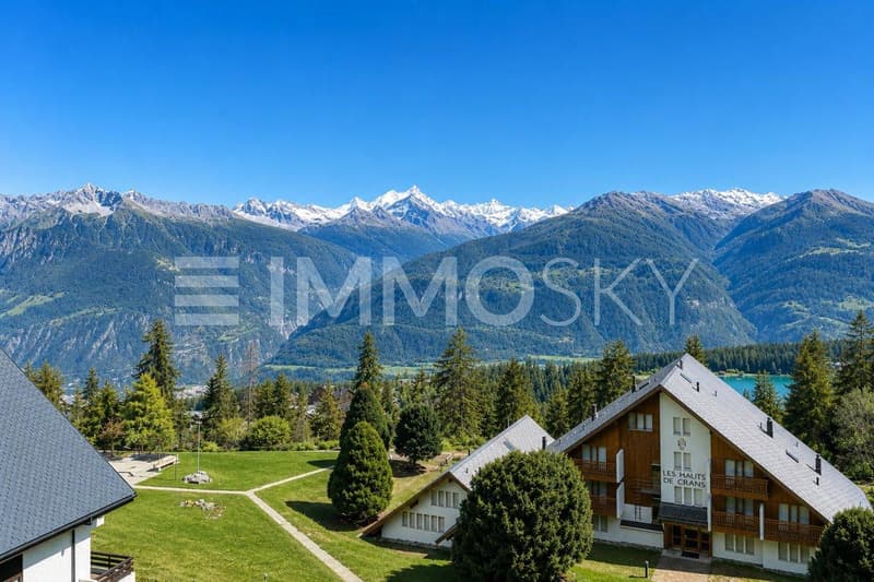Vue panoramique spectaculaire sur les Alpes