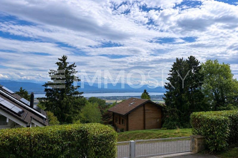 Vue lac et montagnes