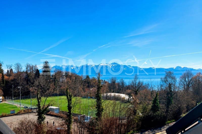Magnifique vue depuis les combles