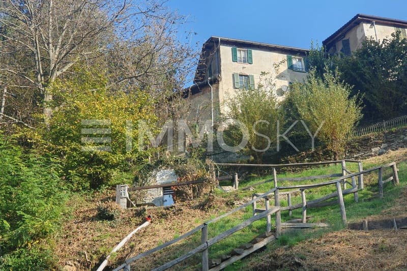 Ingresso del nucleo