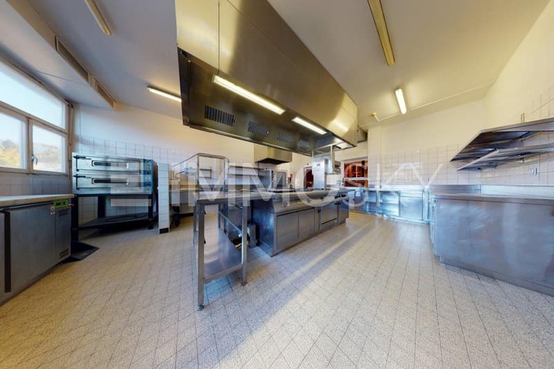 Grande cuisine professionnelle