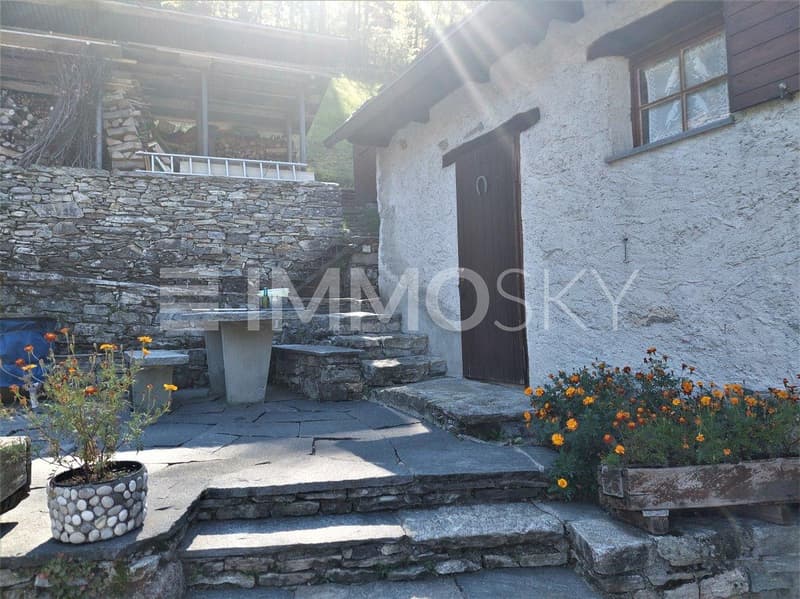 Ingresso soleggiato