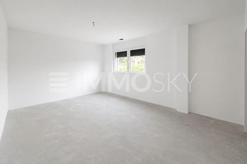 Chambre spacieuse