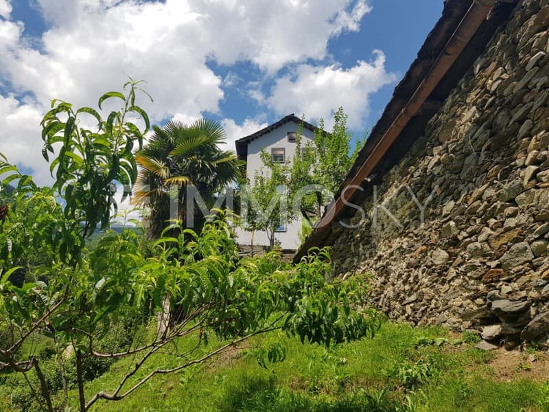 Spettacolo in mezzo al verde