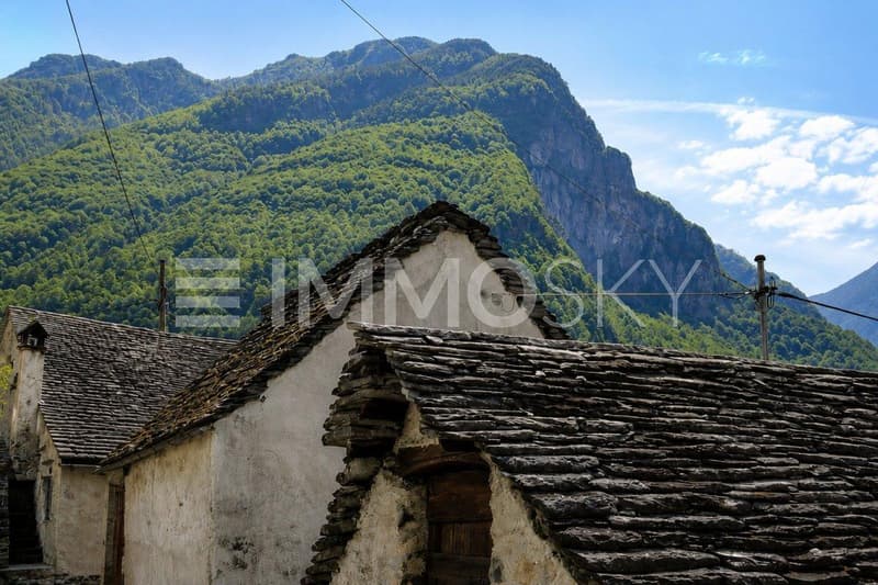 Fantastica vista montagne
