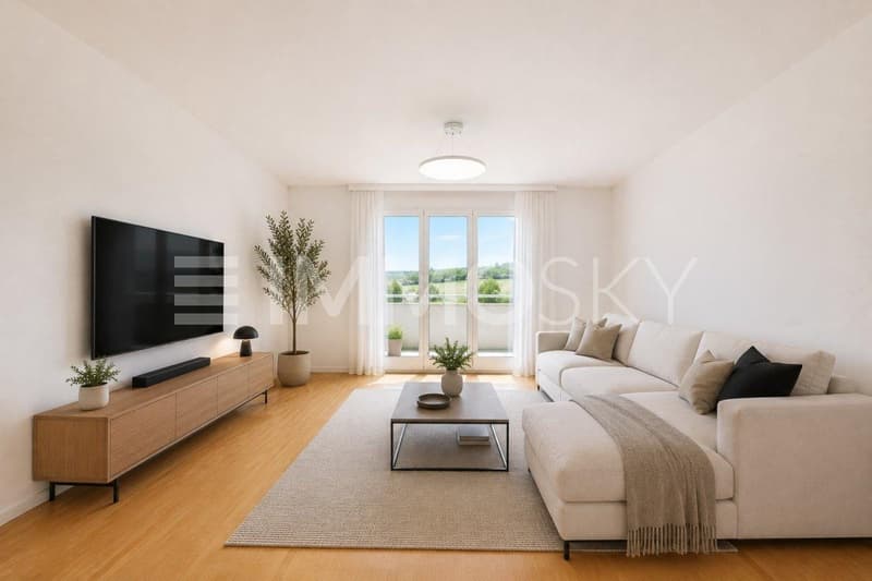 Grand sejour d environ 23m2 - Homestaging