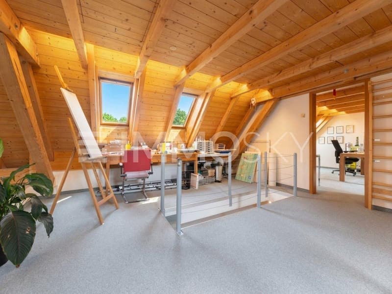 Galeriezimmer für Ihre Hobbys