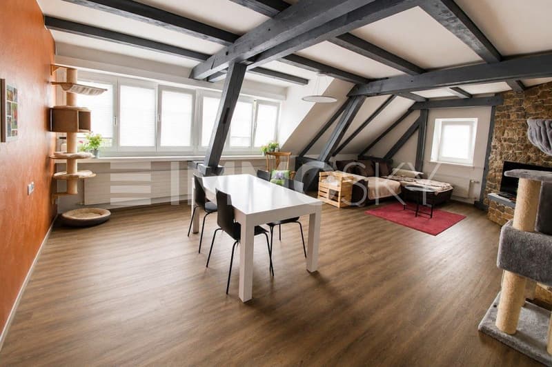 grosszügiges Wohnzimmer DG