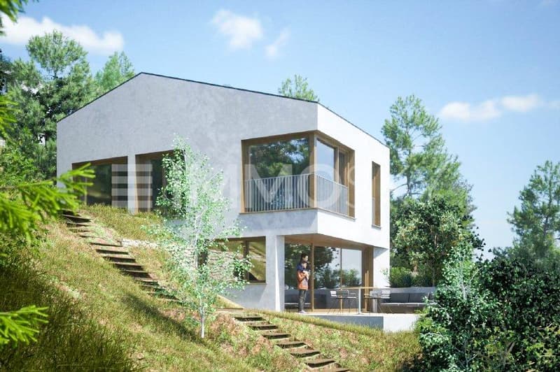 Immosky_maison_Vivian Mottet