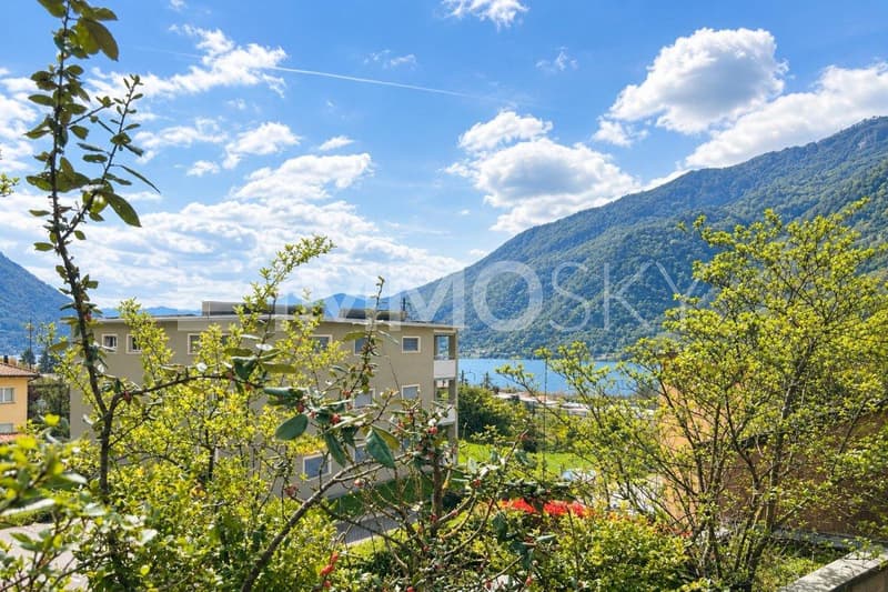 Vista lago in lotananza