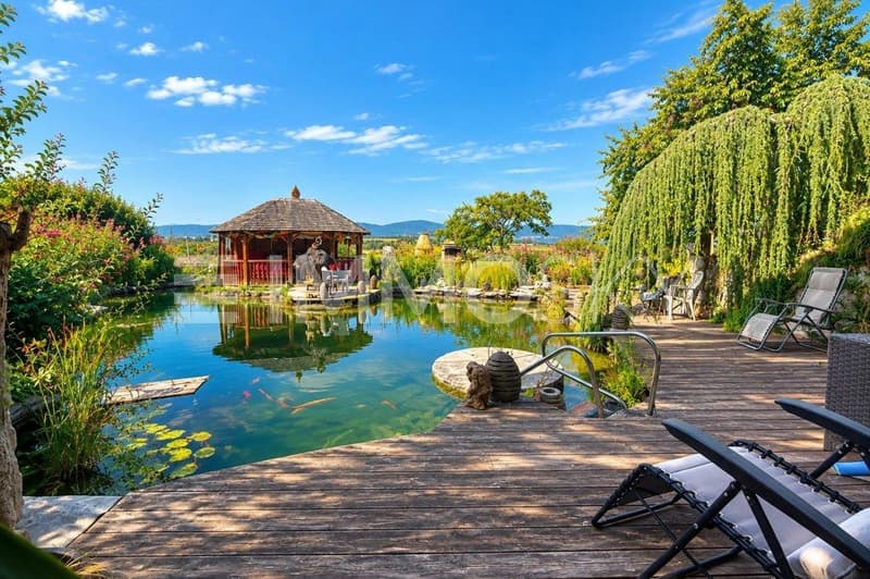 Grande terrasse avec étang