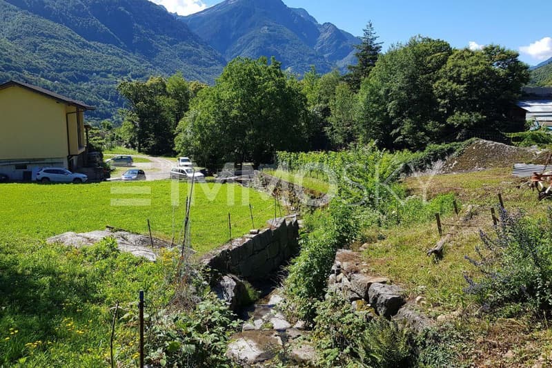 Rilassante ruscello confinante