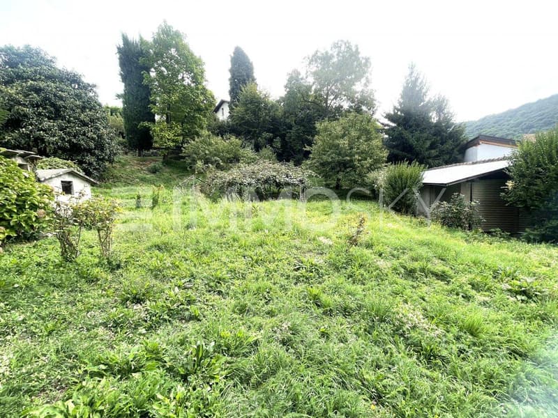 Zona soleggiata