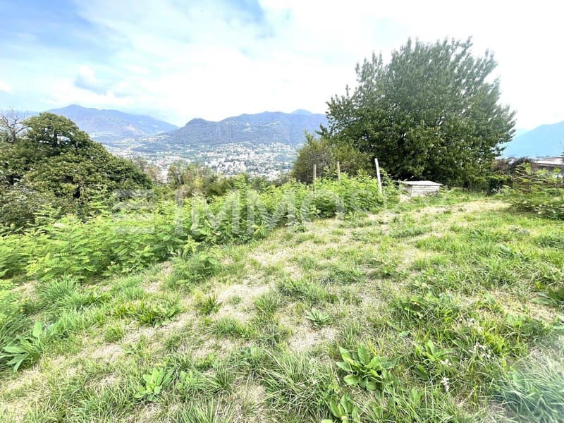 Vista frontale con accesso carrabile
