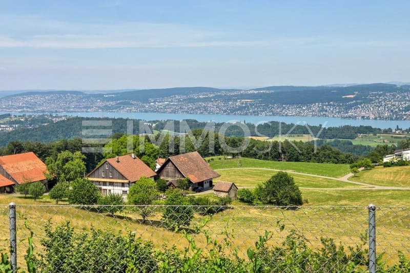 Panoramasicht auf den ganzen Zürichsee