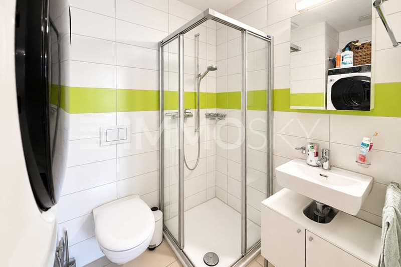 Salle d eau avec douche et colone de lavage
