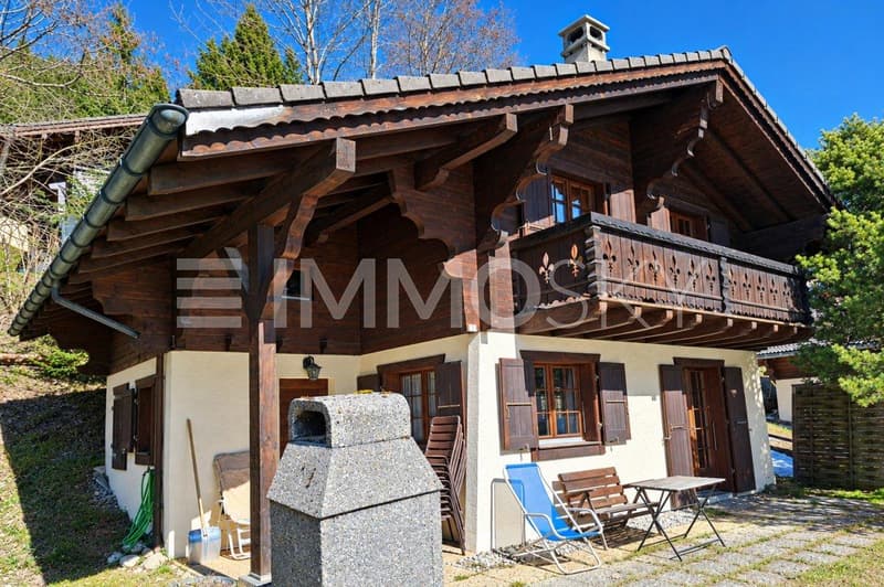 Magnifique chalet alpin