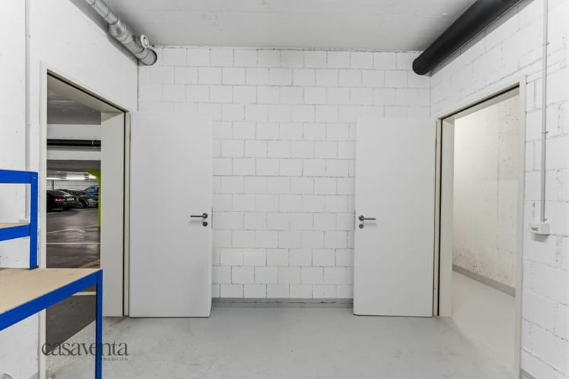 Disporaum mit Zugang zur Tiefgarage und Liegenschaft