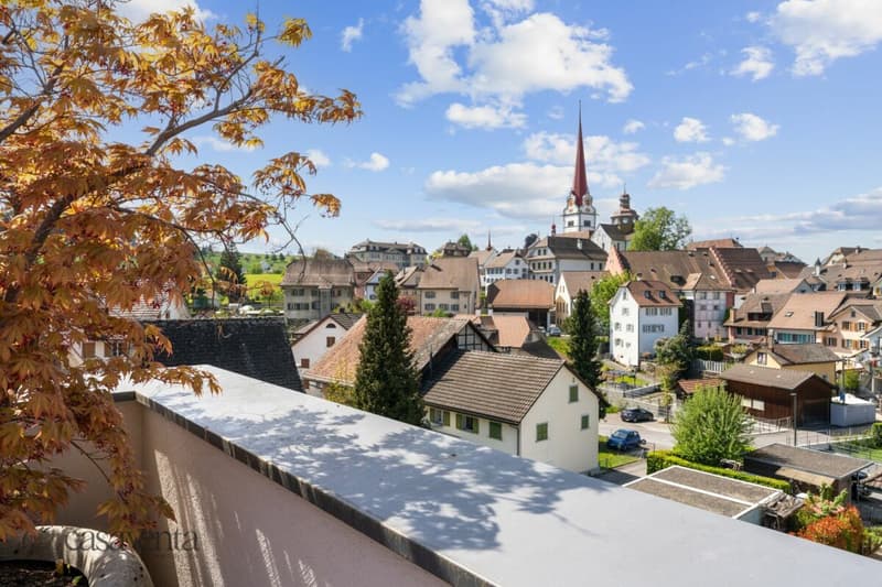 Panoramablick auf die Altstadt