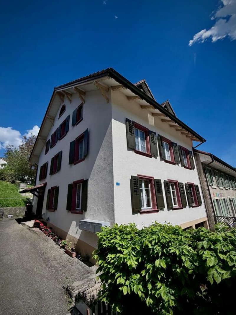 Mehrfamilienhaus mit 3 Wohnungen Eigenkapitalrendite 11.05% (1)