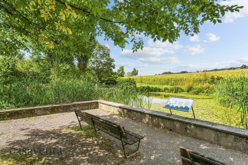 Mühleweiher (Naherholung) Ansicht 2