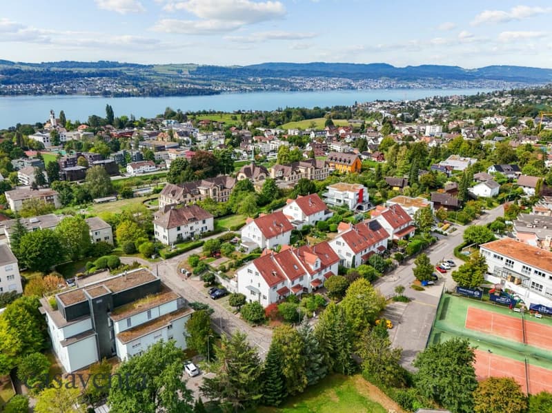 Vogelperspektive mit Blick auf den Zürichsee und Uetikon am See