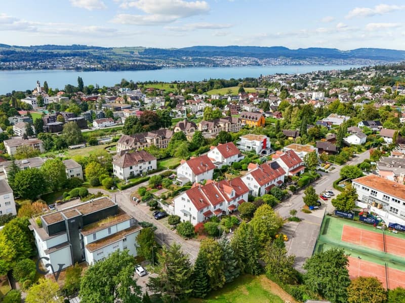 Vogelperspektive mit Blick auf den Zürichsee und Uetikon am See