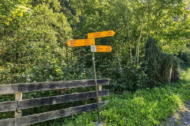 Wegweiser Umgebung Eigenthal
