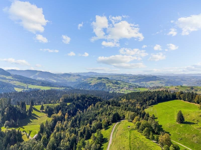 Umgebung Richtung Nord-/West