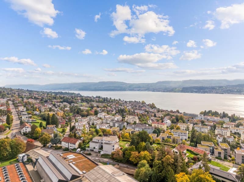 Vogelperspektive mit Blick auf den Zürichsee und Uetikon am See