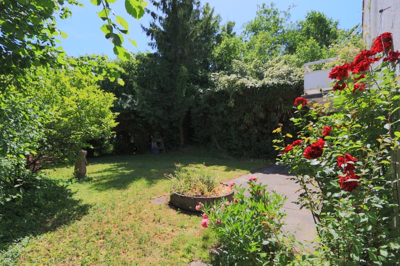 Garten auf der Südseite