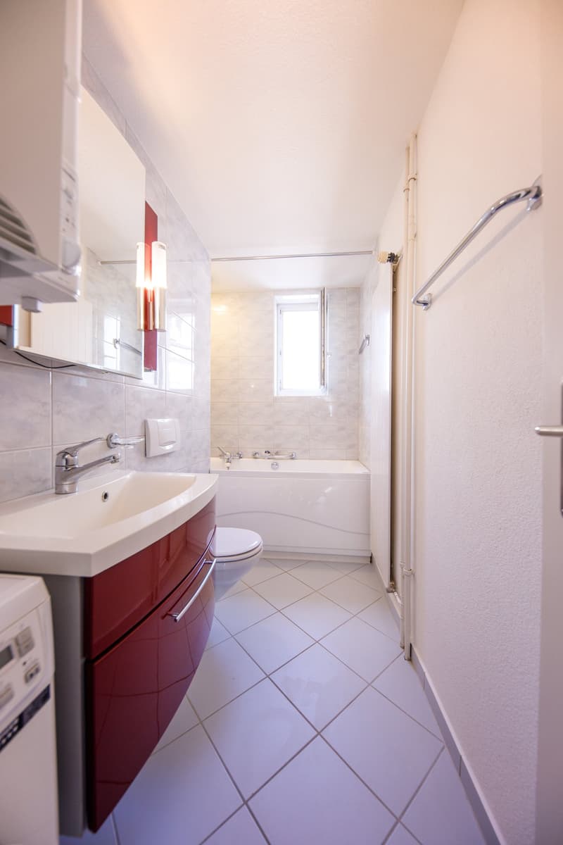 Rare opportunity: MFH at Goldbrunnenplatz (7)