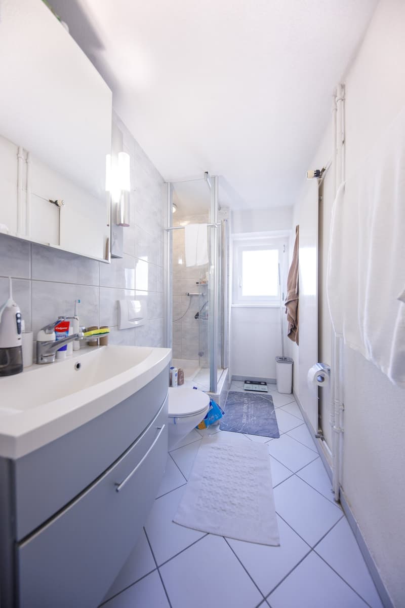 Rare opportunity: MFH at Goldbrunnenplatz (12)