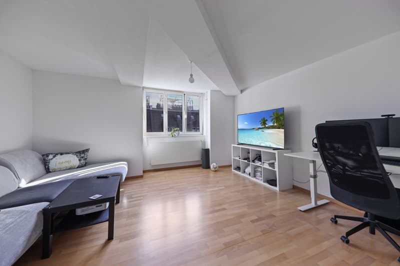 Rare opportunity: MFH at Goldbrunnenplatz (9)