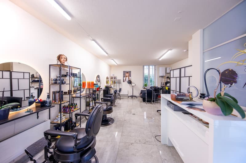 Rare opportunity: MFH at Goldbrunnenplatz (3)