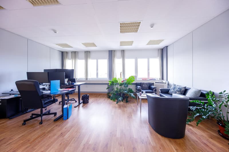 Spacious office space in a quiet location in Zumikon (3)