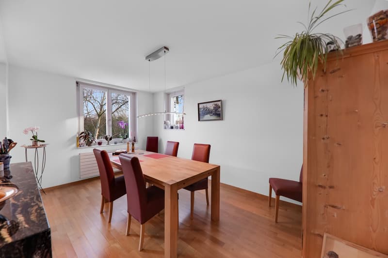 Lots of space for the whole family: 5 ½-room single-family house in a quiet, sunny location (4)