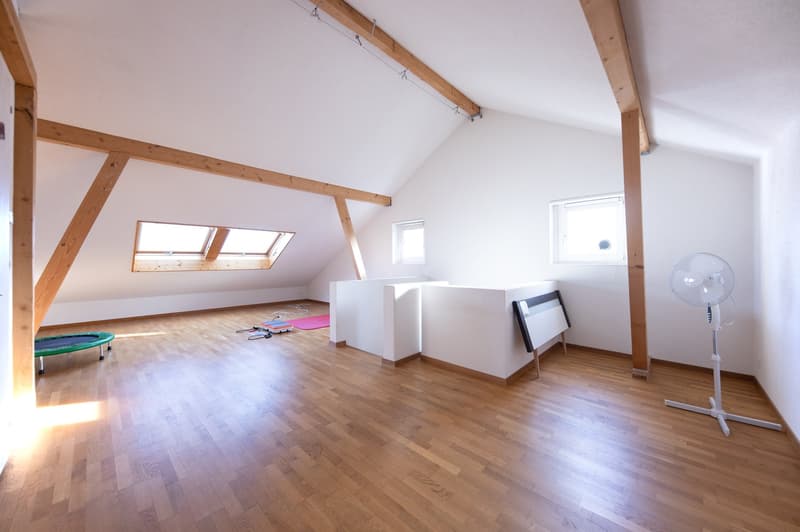 Lots of space for the whole family: 5 ½-room single-family house in a quiet, sunny location (10)