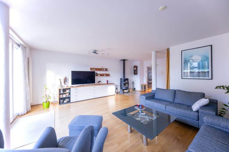 Lots of space for the whole family: 5 ½-room single-family house in a quiet, sunny location (3)